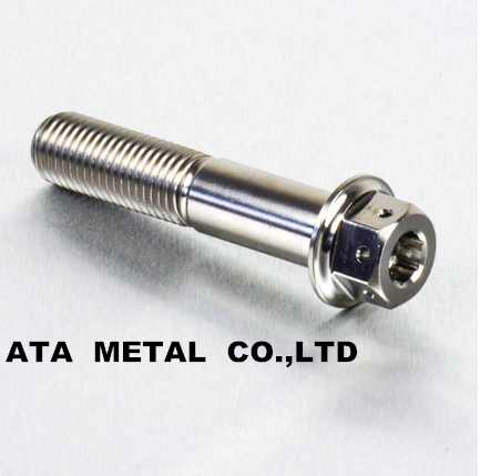Titanium Bolt