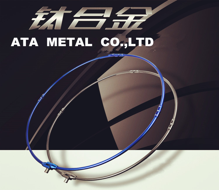 Titanium Dip net