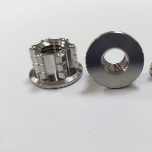 Customized Titanium Flange Nuts